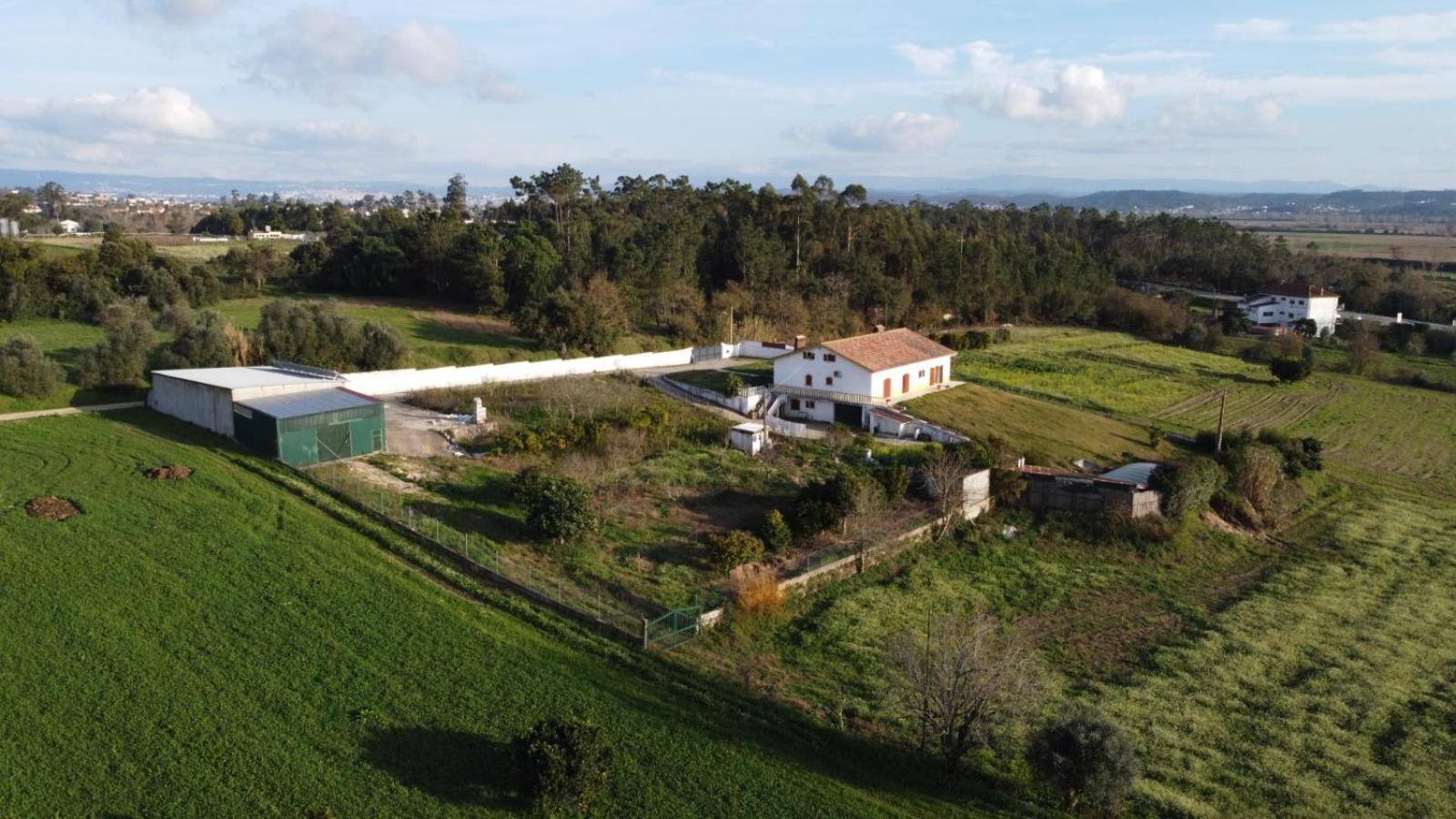 Apartamento Quinta Da Barrosa Tentugal Exterior foto